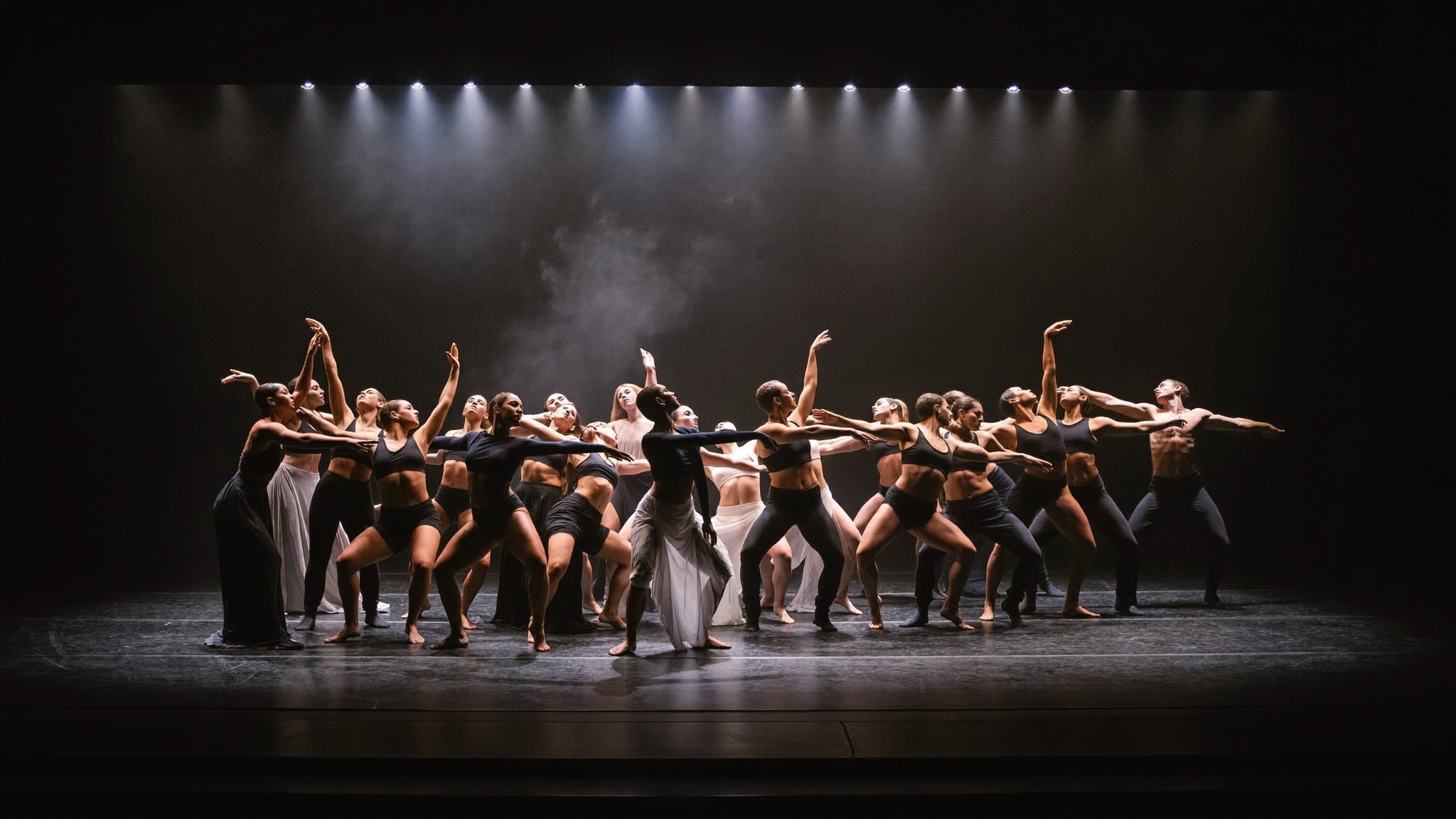 Danze Coreografiche